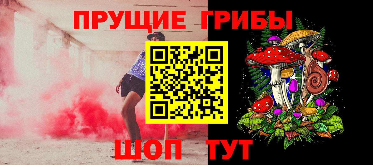 закладки  Вход с VPN  Псилоцибиновые грибы MAGIC MUSHROOMS  Черняховск  Псилоцибиновые грибы Psilocybine cubensis 