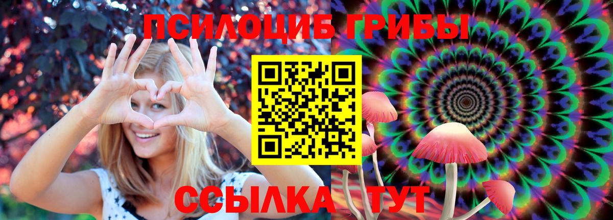Галлюциногенные грибы MAGIC MUSHROOMS Черняховск
