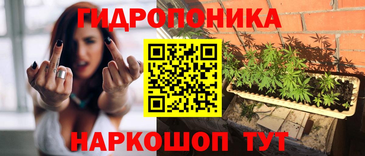 МАРИХУАНА сатива Черняховск
